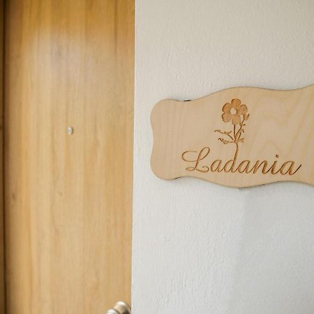 Sisaion Suites - Live The Cretan Hospitality Metokhion Apisiana Exterior photo